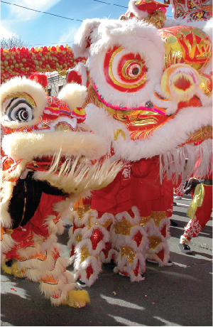 festival chinese new year